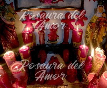 maestra del amor Rosaura