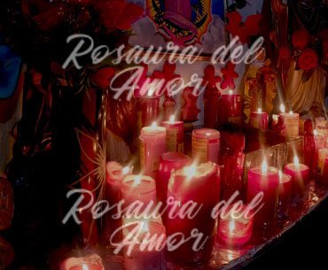 maestra del amor Rosaura