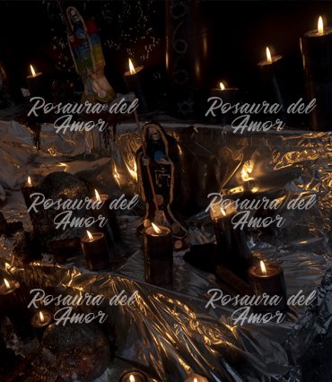 maestra del amor Rosaura