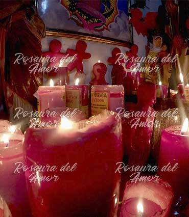 maestra del amor Rosaura